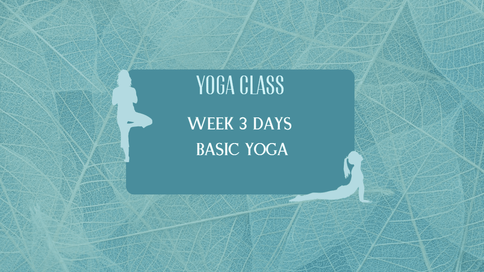 Week 3 Days Basic Yoga Class