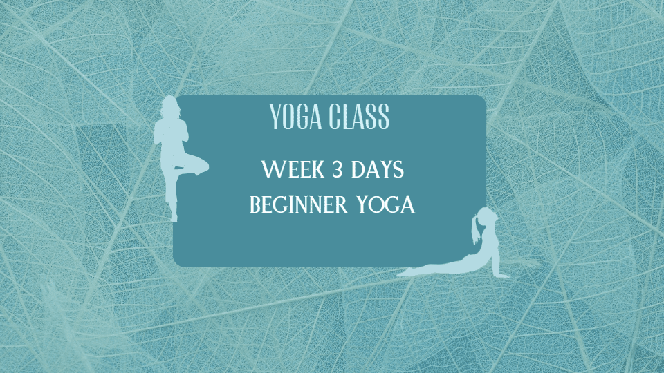 Week 3 Days Beginner Yoga Class