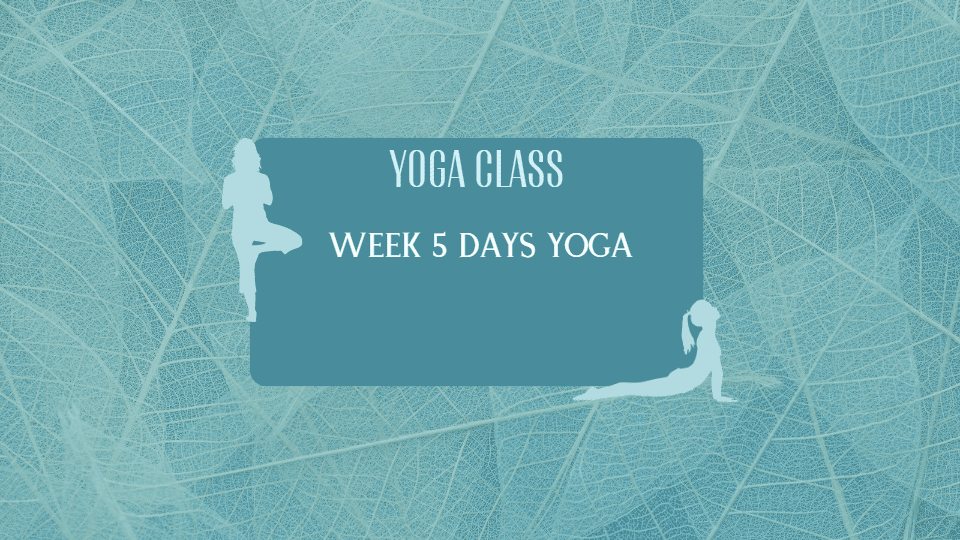 Week 5 Days Yoga Class