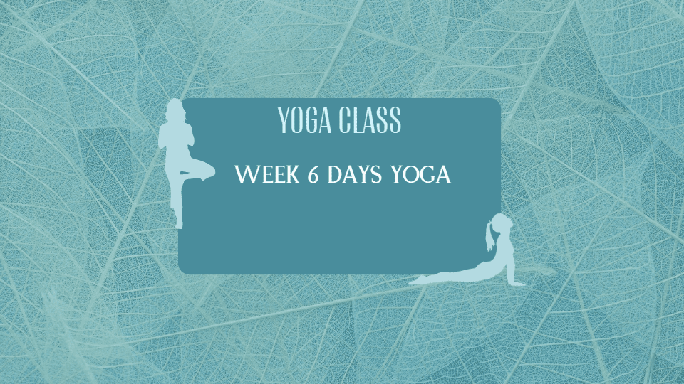 Week 6 Days Yoga Class