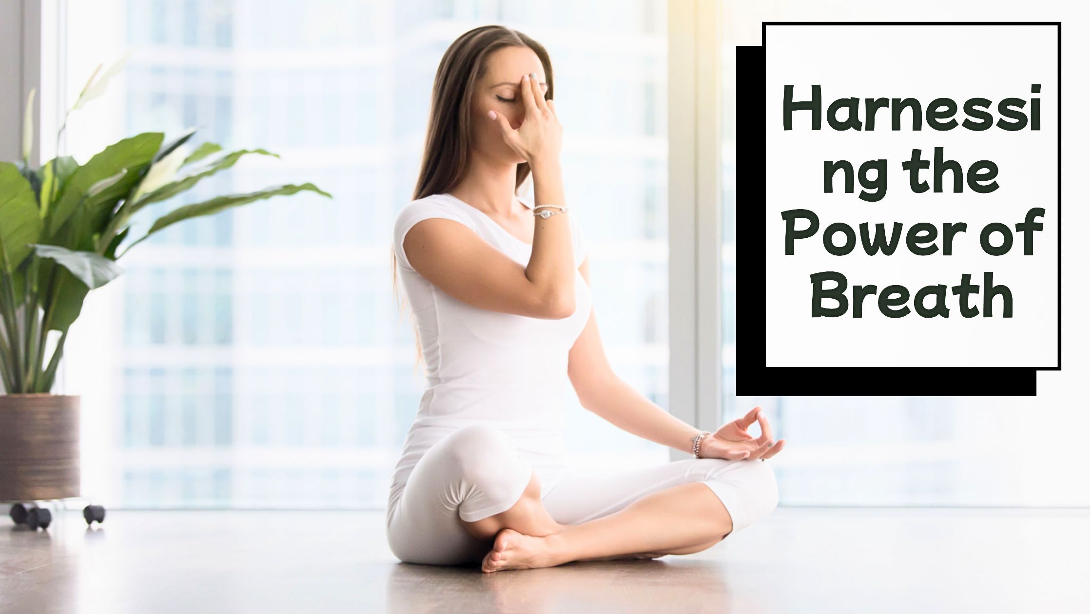 The Transformative Benefits of Pranayama: Harnessing the Power of Breath